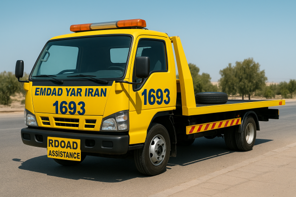امداد رسانی شهر طبس